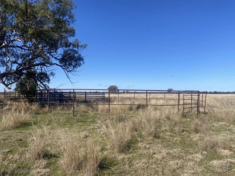 Additional image 10 of 382 Jones Lane, Condobolin NSW 2877