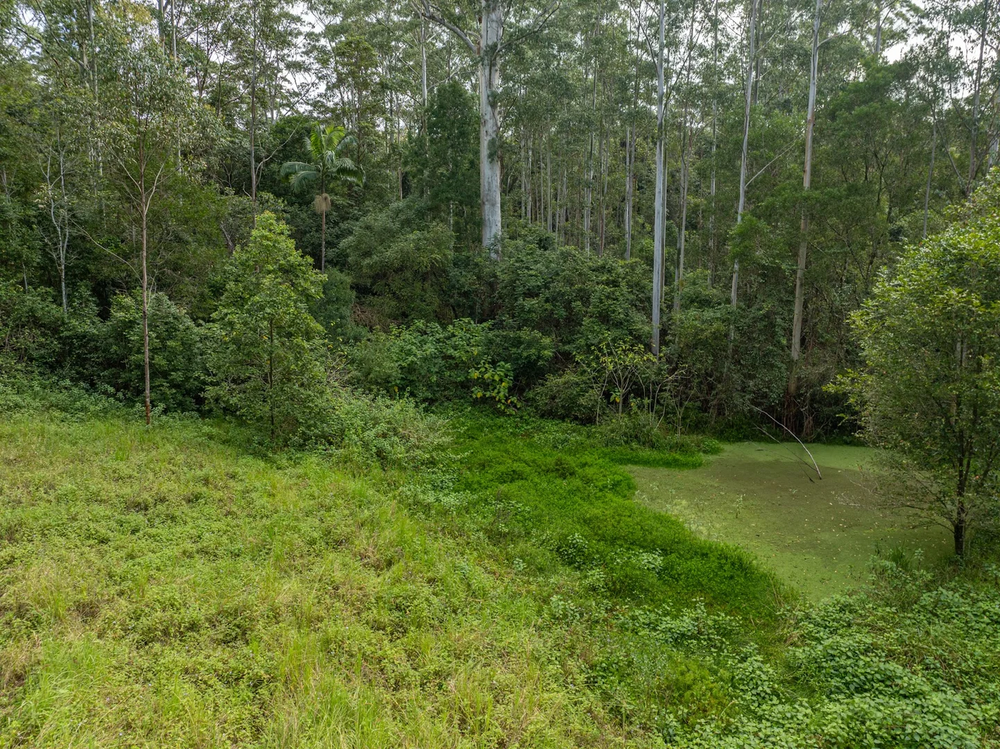 Additional image 27 of 69 Hidden Valley Road, Barkers Vale NSW 2474