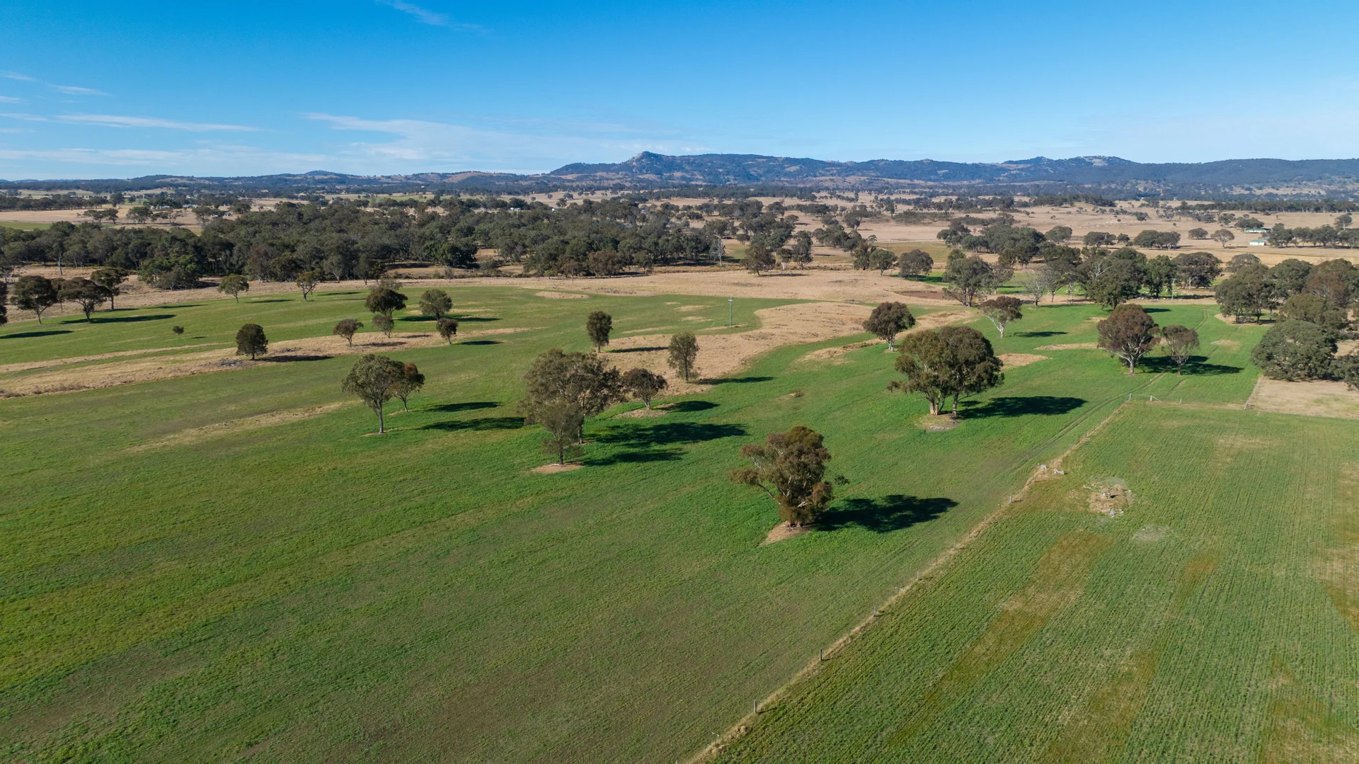 Additional image 17 of 214 Tarban Loop Road, Tenterfield NSW 2372