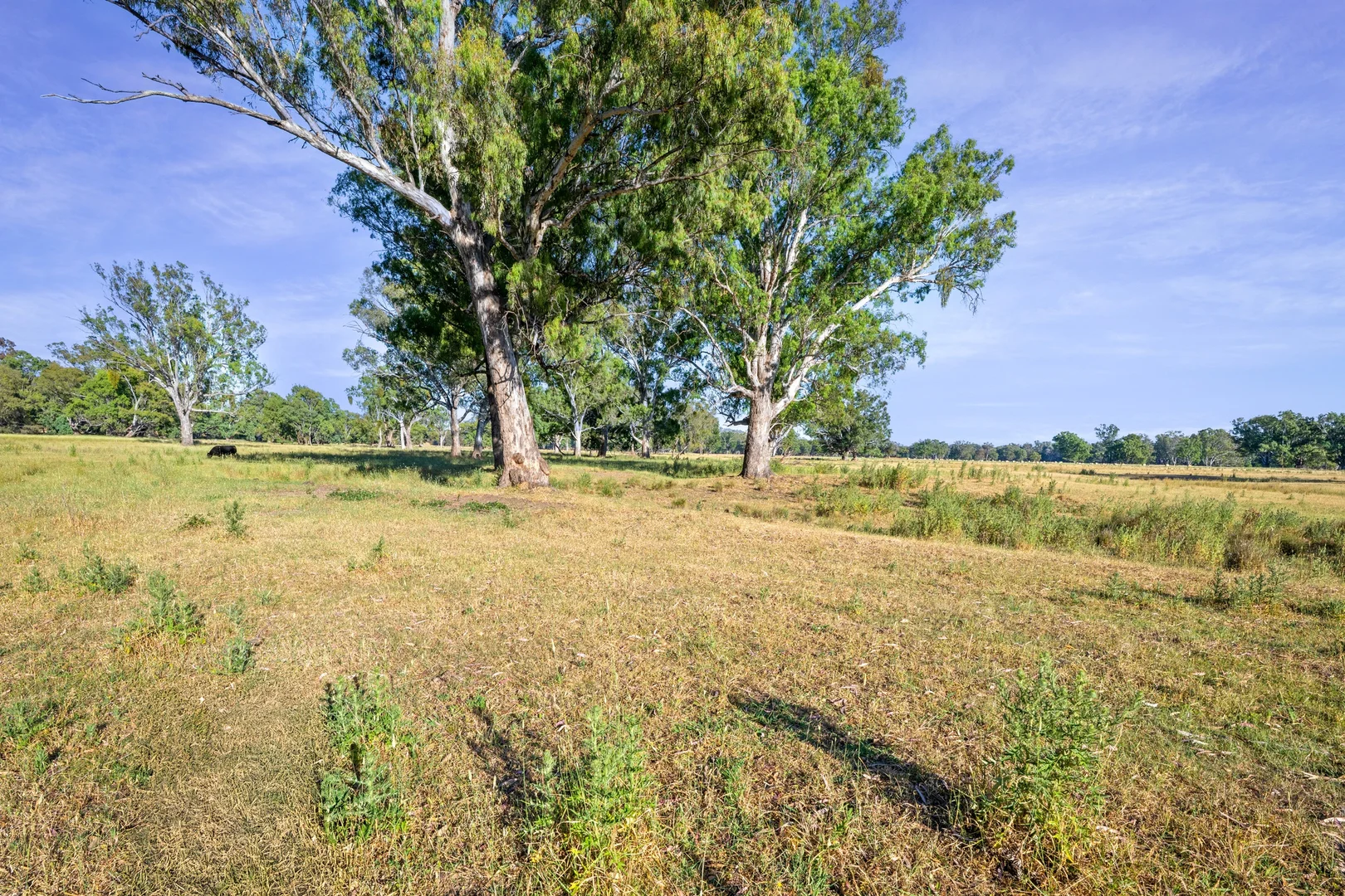 Additional image 14 of 9 Apple Box Court, Baranduda VIC 3691