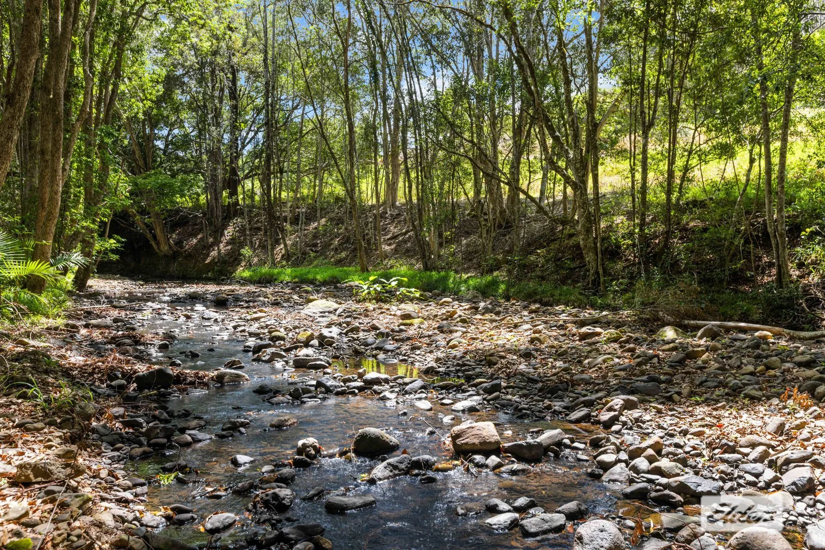 Additional image 20 of 1984 Numinbah Road, Numinbah NSW 2484