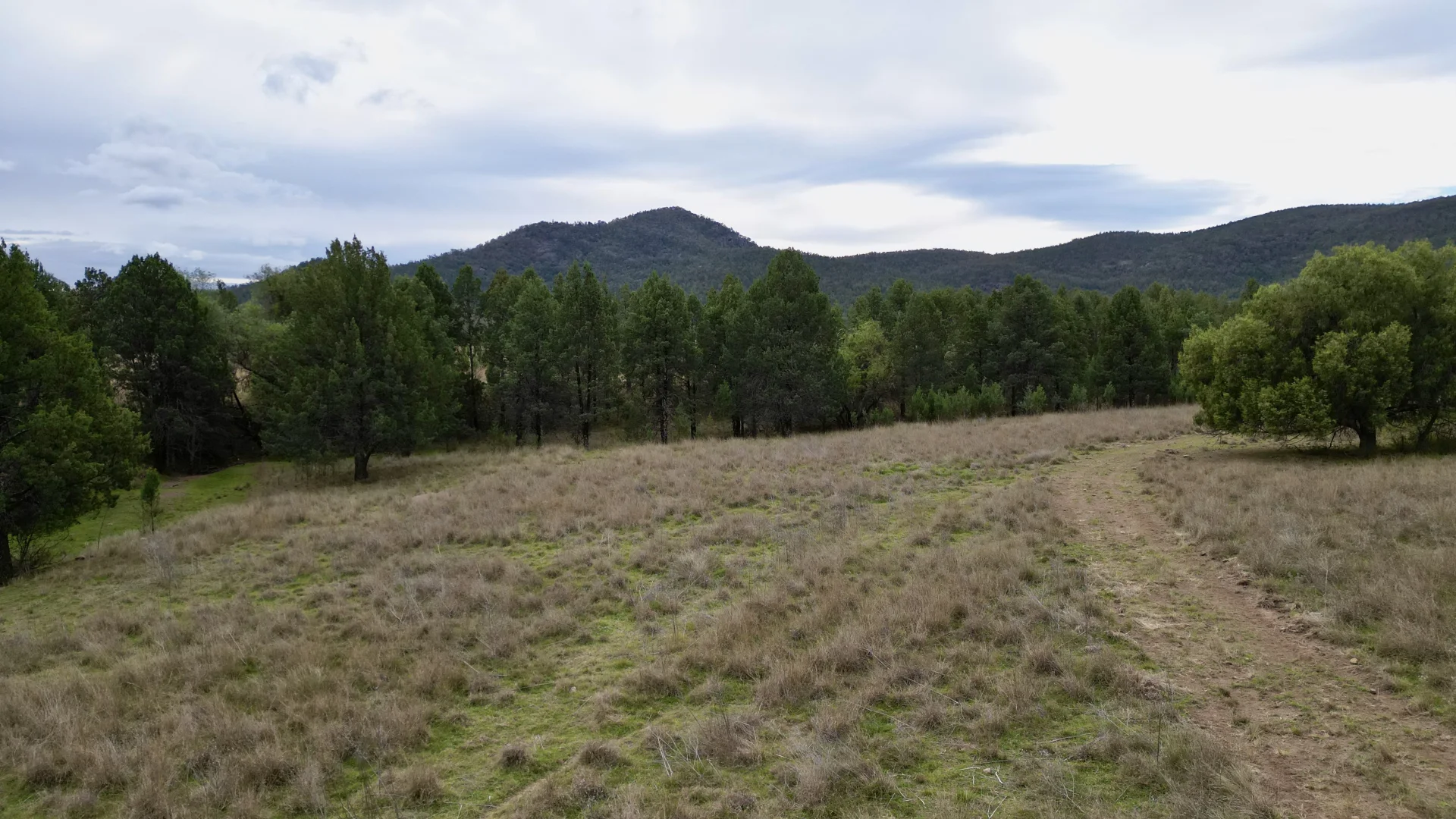 Additional image 3 of 415 Tudgey Road, Gunnedah NSW 2380