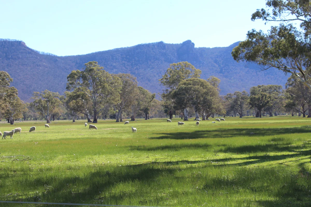 Additional image 26 of 687 Victoria Point Road, Victoria Point VIC 3294