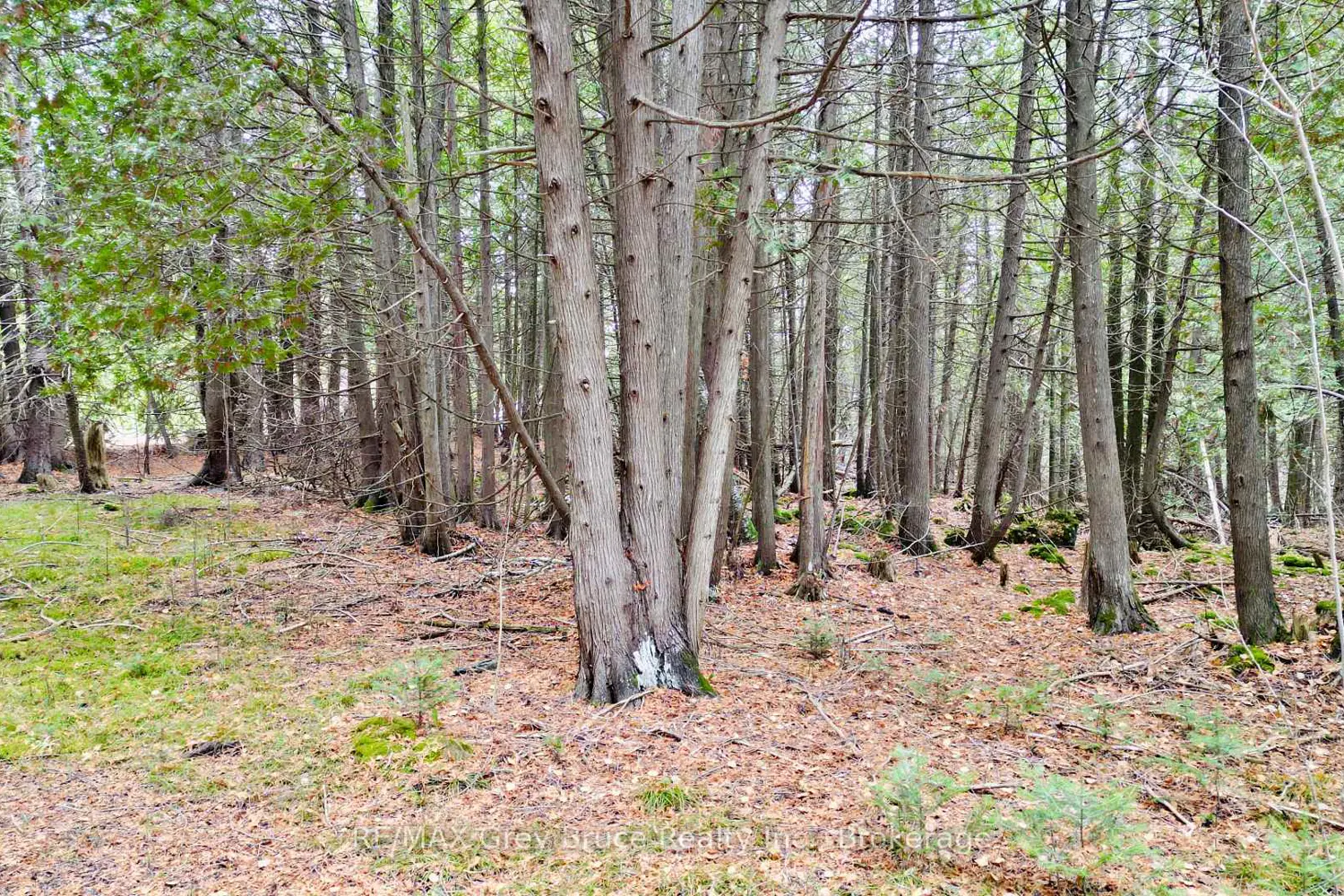 Additional image 18 of 44 Stokes Bay Road