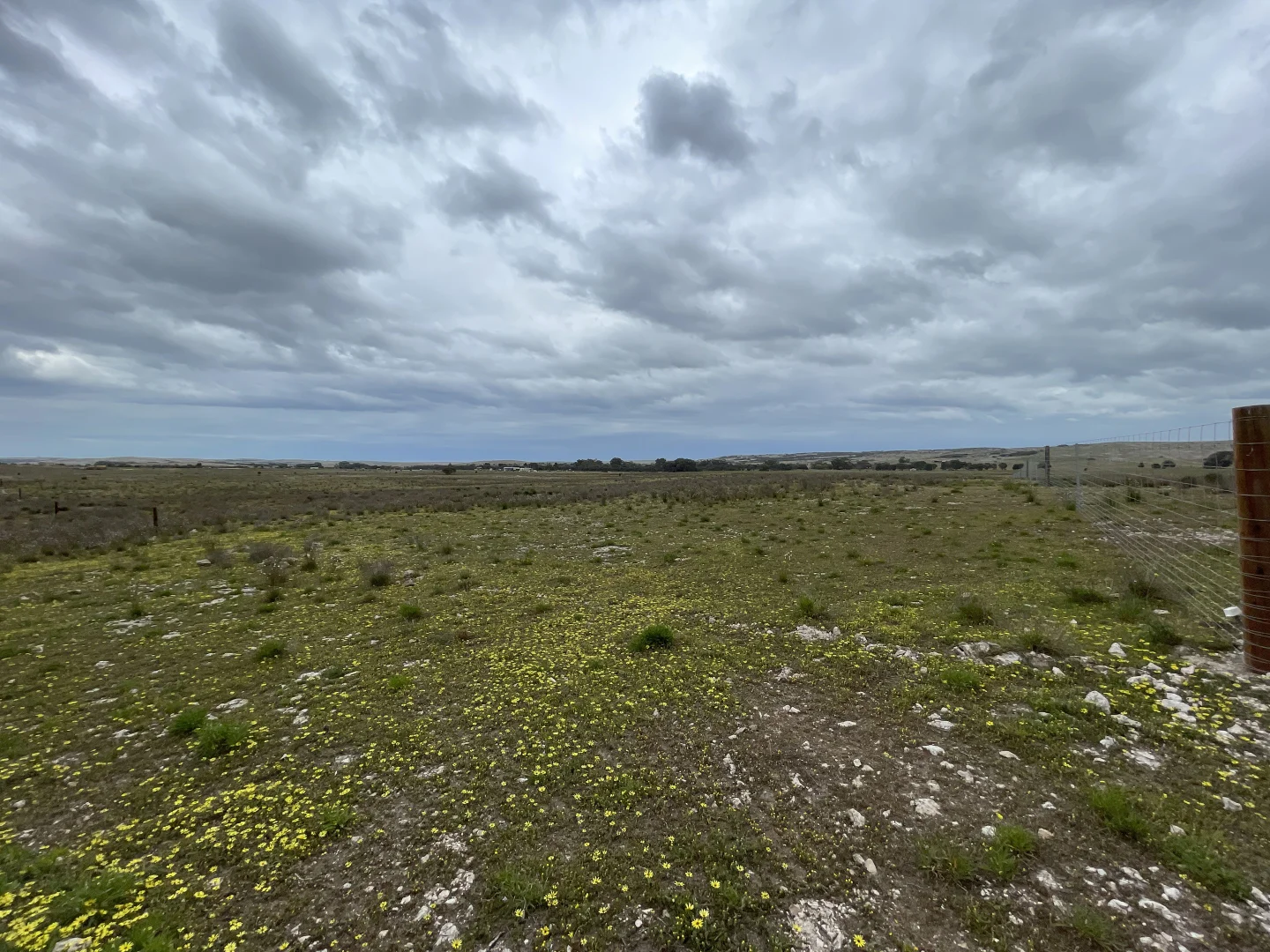 Additional image 15 of 1 Section 217, 217 & 219, Bramfield SA 5670