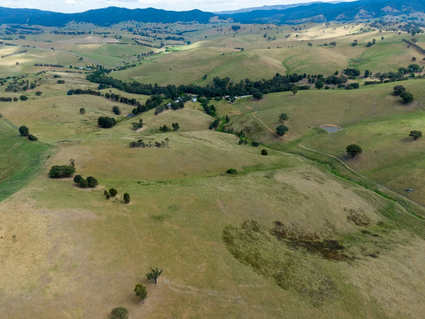 6 Scott Road, Ensay VIC 3895