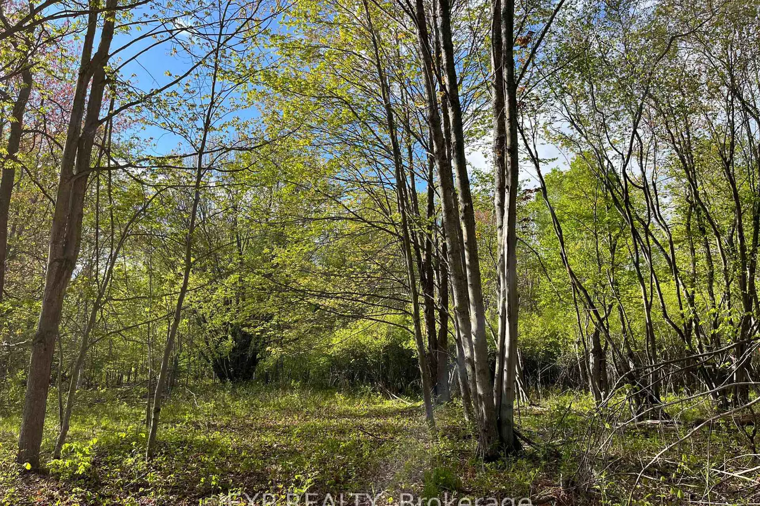 Additional image 9 of Lot 4 Sandy Shores Trail