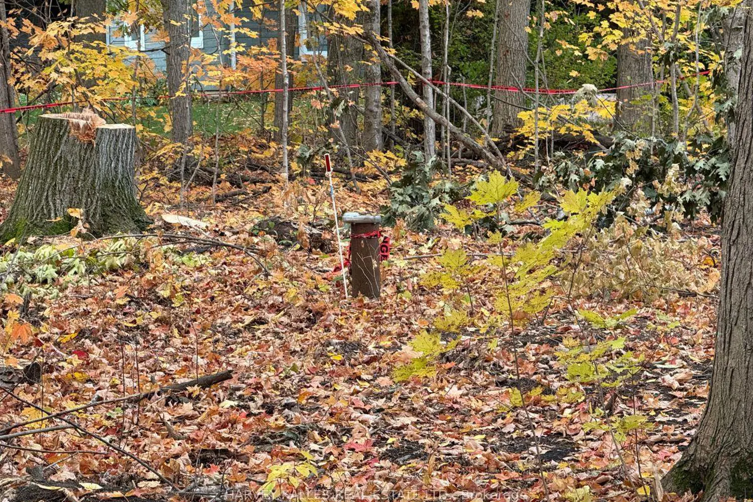 Additional image 12 of 0 Oakwood Lane