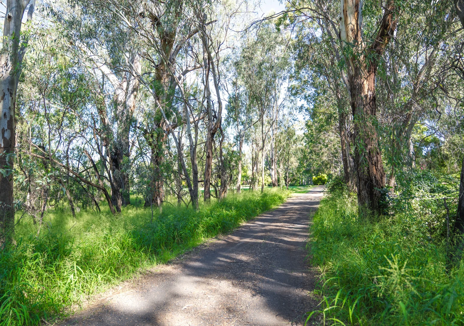 Additional image 9 of 69 Ulawanna Road, Goondiwindi QLD 4390