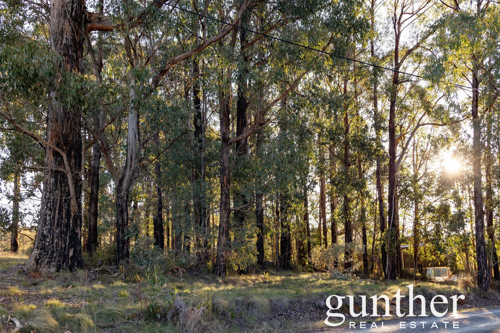 Additional image 9 of 1 Hull Road, Marysville VIC 3779