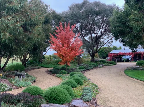 Additional image 5 of 520 Donaldsons Road, Ancona VIC 3715