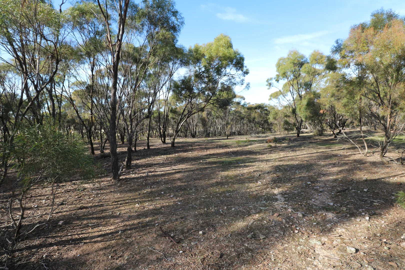 Additional image 26 of 84A Woolshed Flat Road, Wychitella VIC 3525