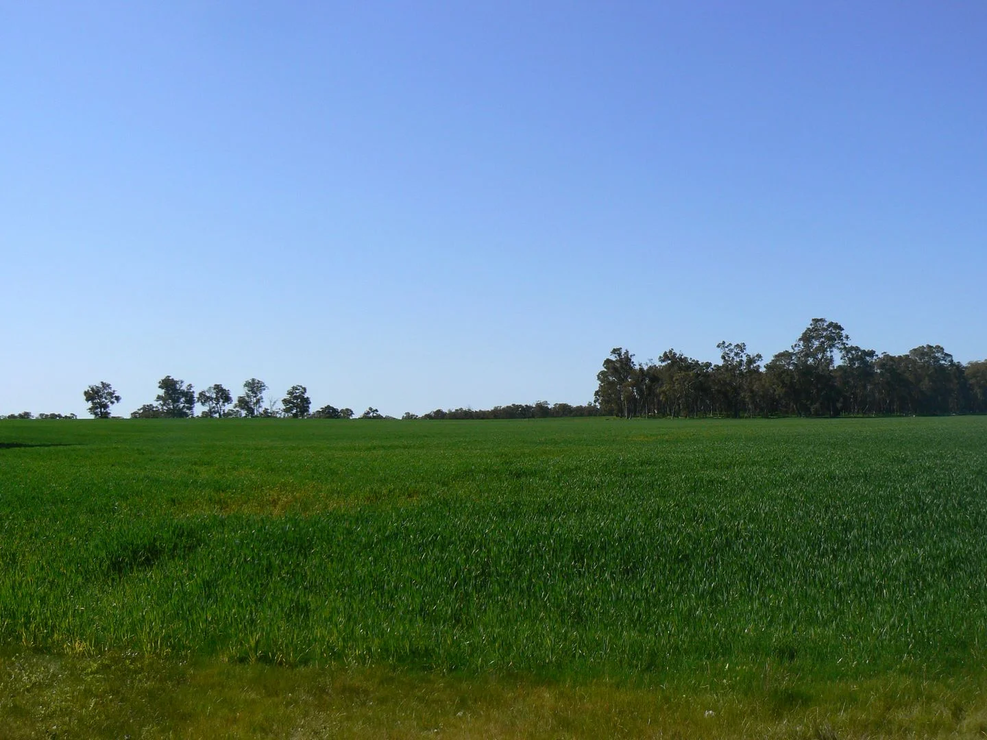 Additional image 5 of Lot/6 Six Mile Road, Mayanup WA 6244