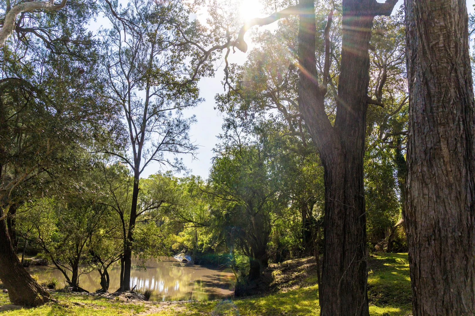 Additional image 7 of 119 Paddys Flat Road, Tabulam NSW 2469