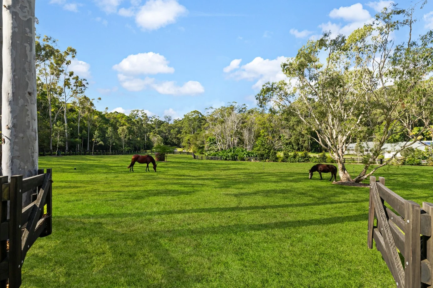 Additional image 9 of 72 Elisabeth Valley Place, Ilkley QLD 4554