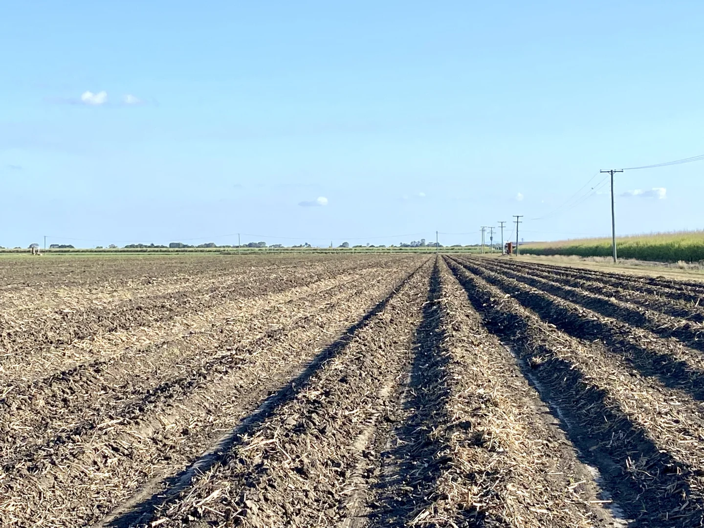 Additional image 7 of 20 Colevale Road, Brandon QLD 4808