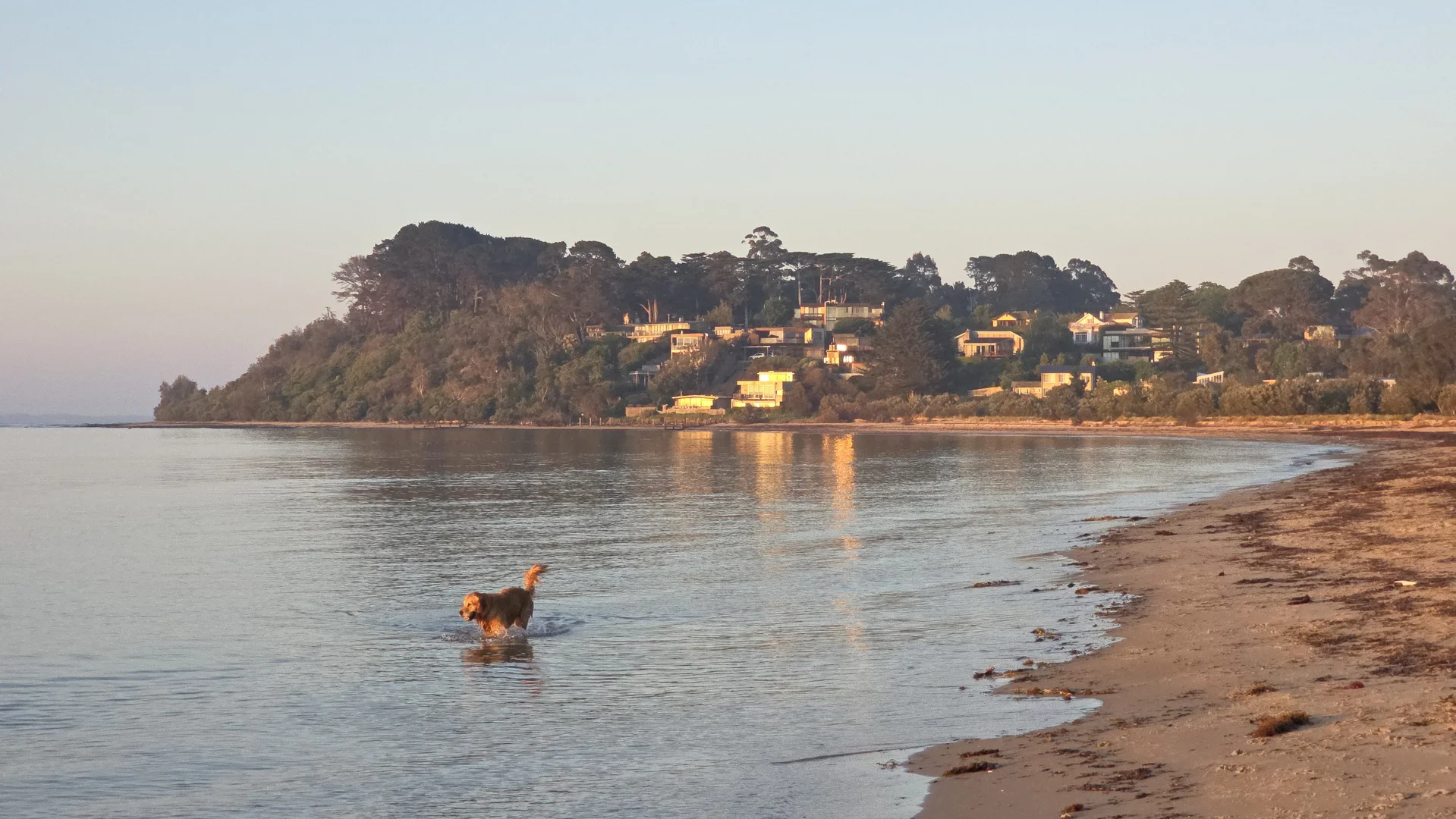 Additional image 29 of 16 Tulum Court, Balnarring Beach VIC 3926