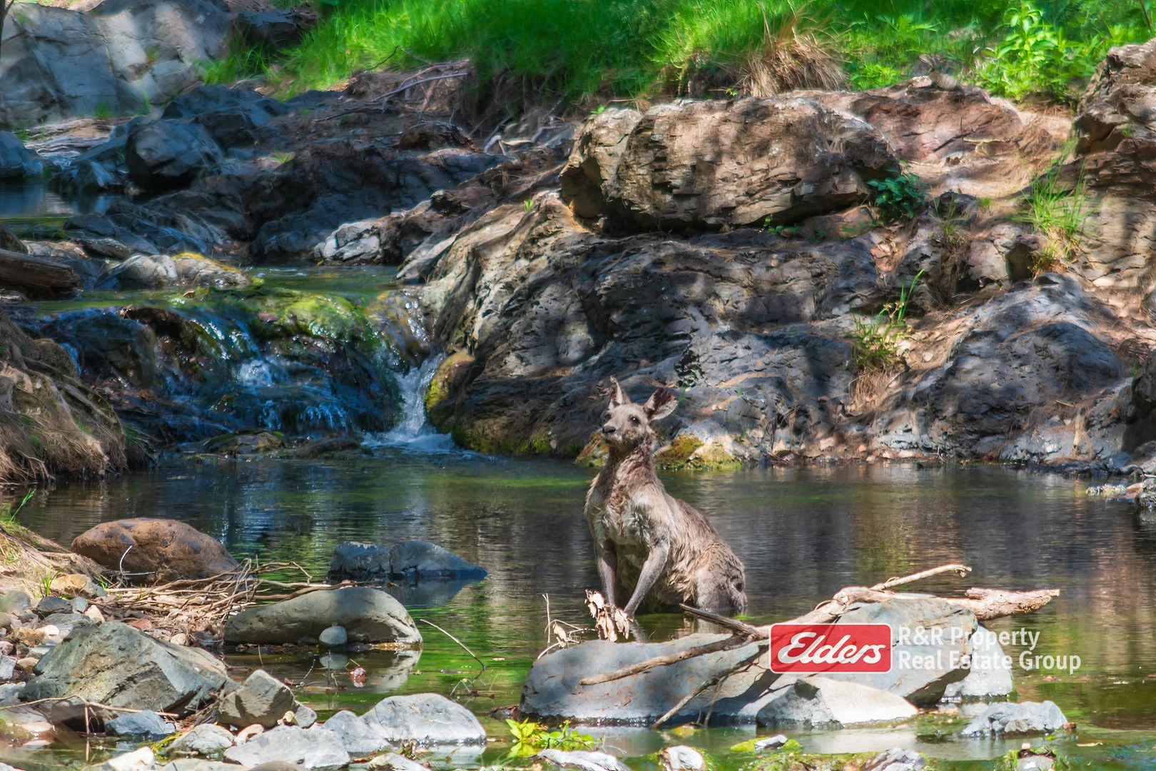 Additional image 18 of 2241 Curricabark Road, Dewitt NSW 2422