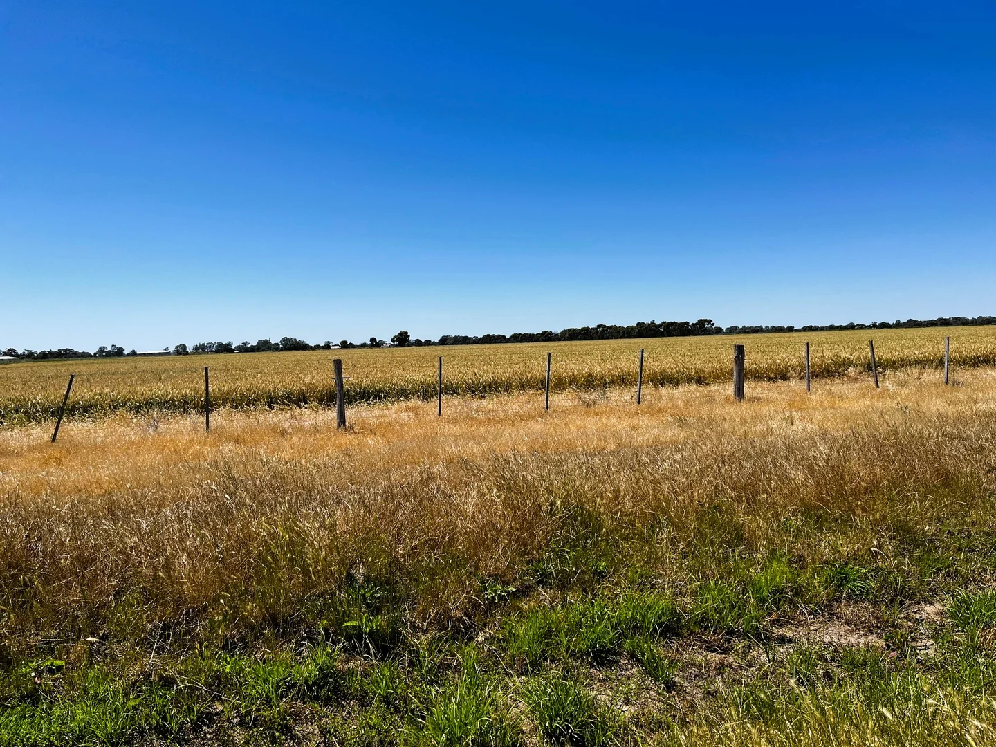 Additional image 16 of 8499 Murray Valley Highway, Kerang East VIC 3579