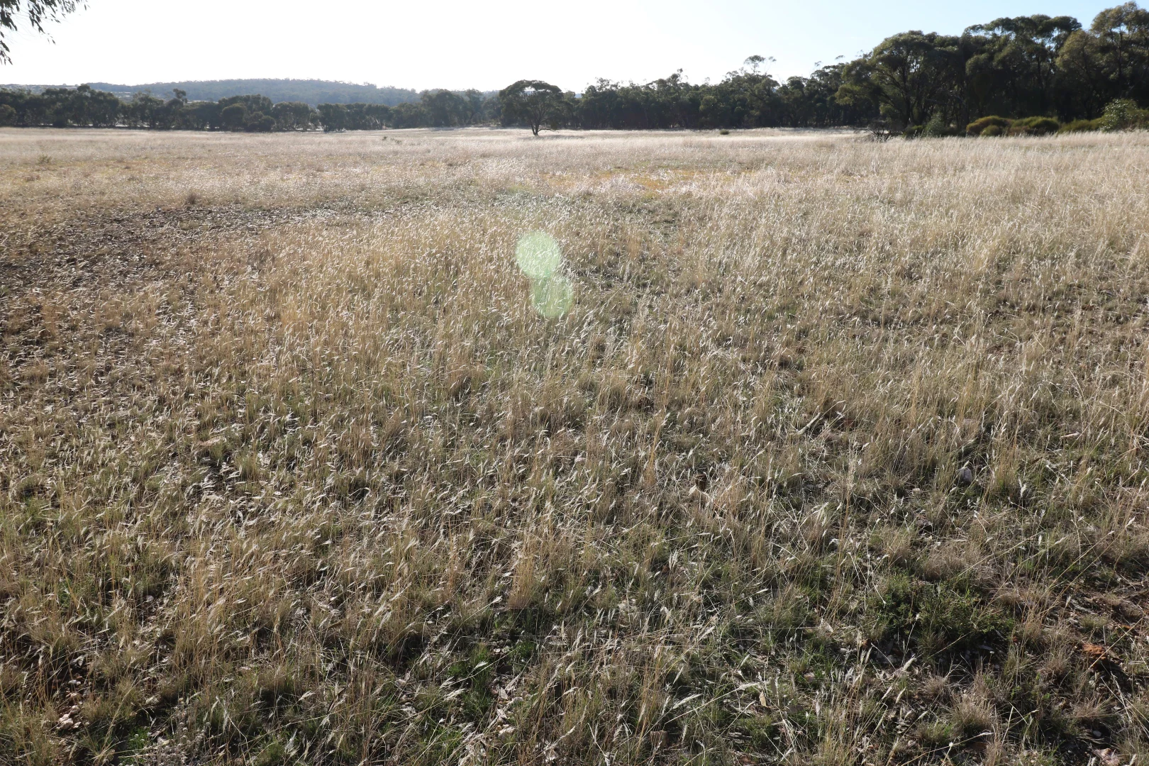 Additional image 19 of 84A Woolshed Flat Road, Wychitella VIC 3525