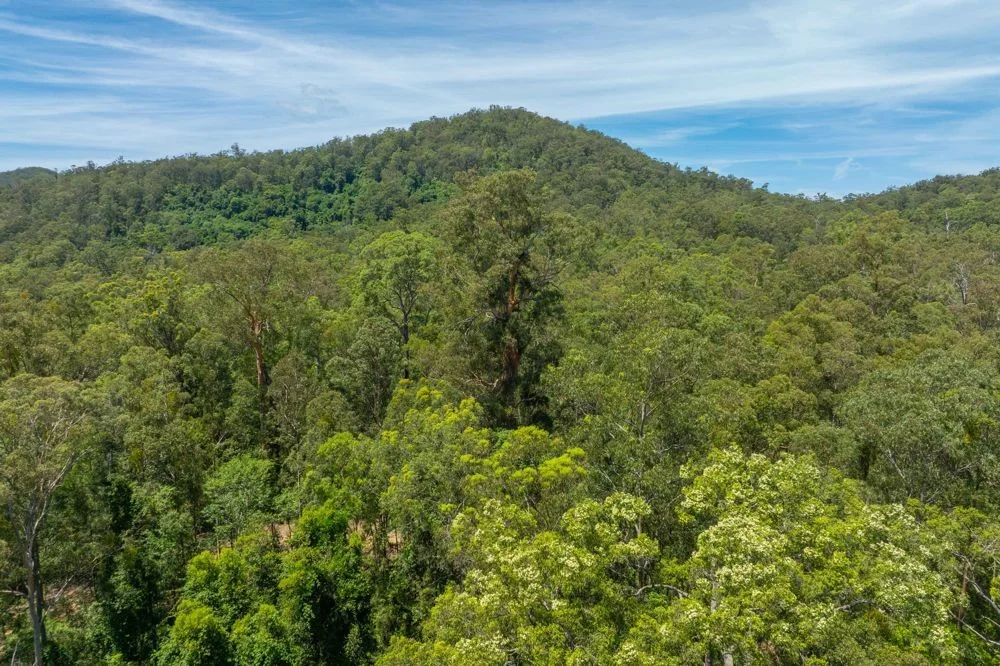 Additional image 10 of 384 Eastern Boundary Road, Rollands Plains NSW 2441