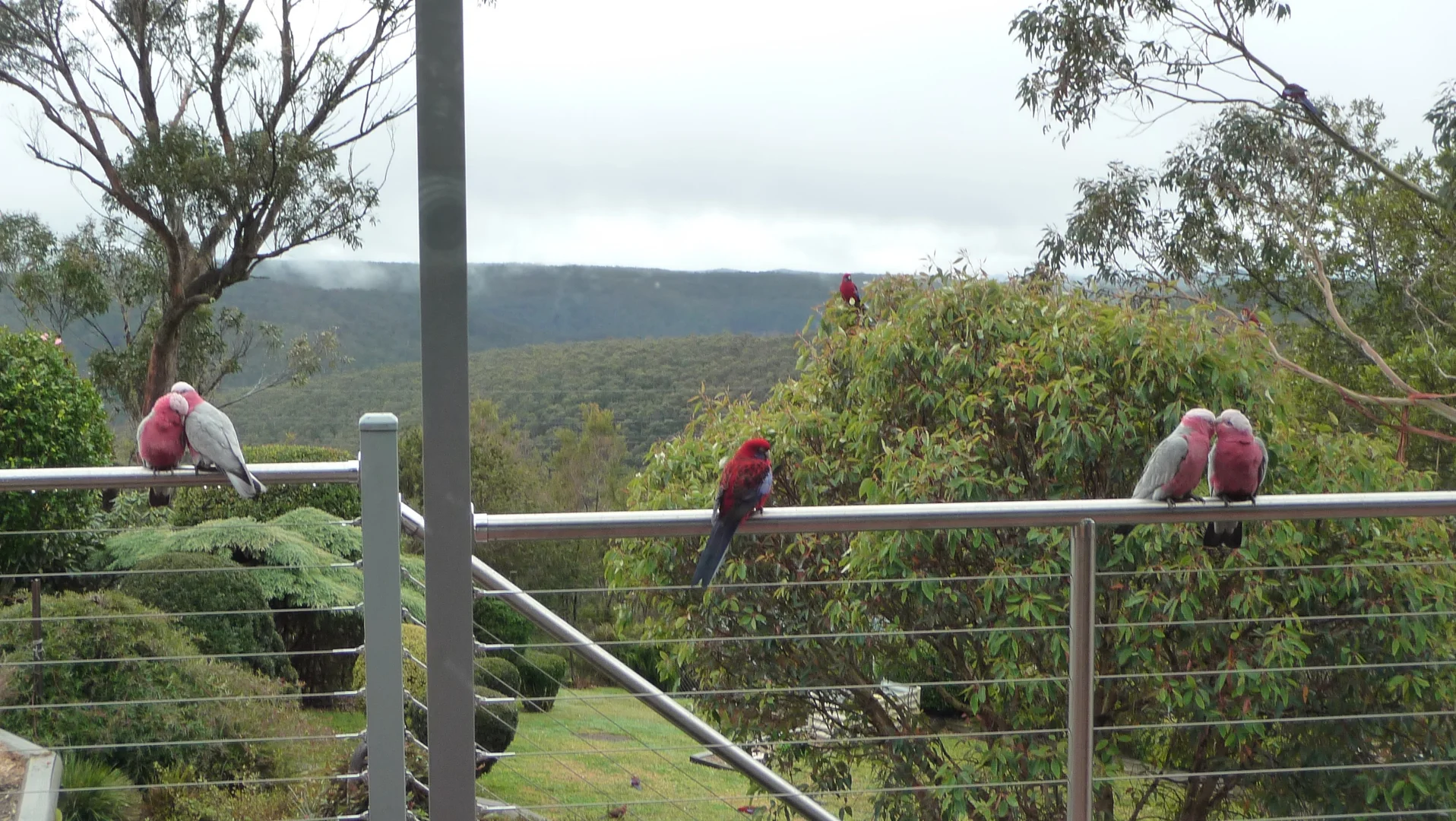 Additional image 14 of 23 Farnham Avenue, Wentworth Falls NSW 2782