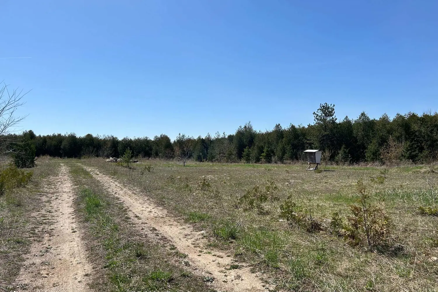 Additional image 5 of 755 Stone Road