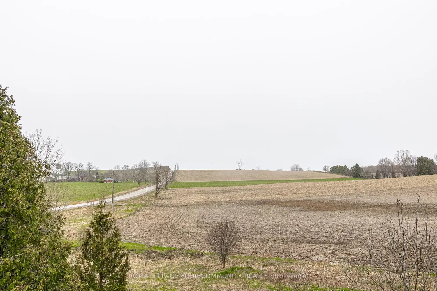 Additional image 17 of 13020 Concession Road 5