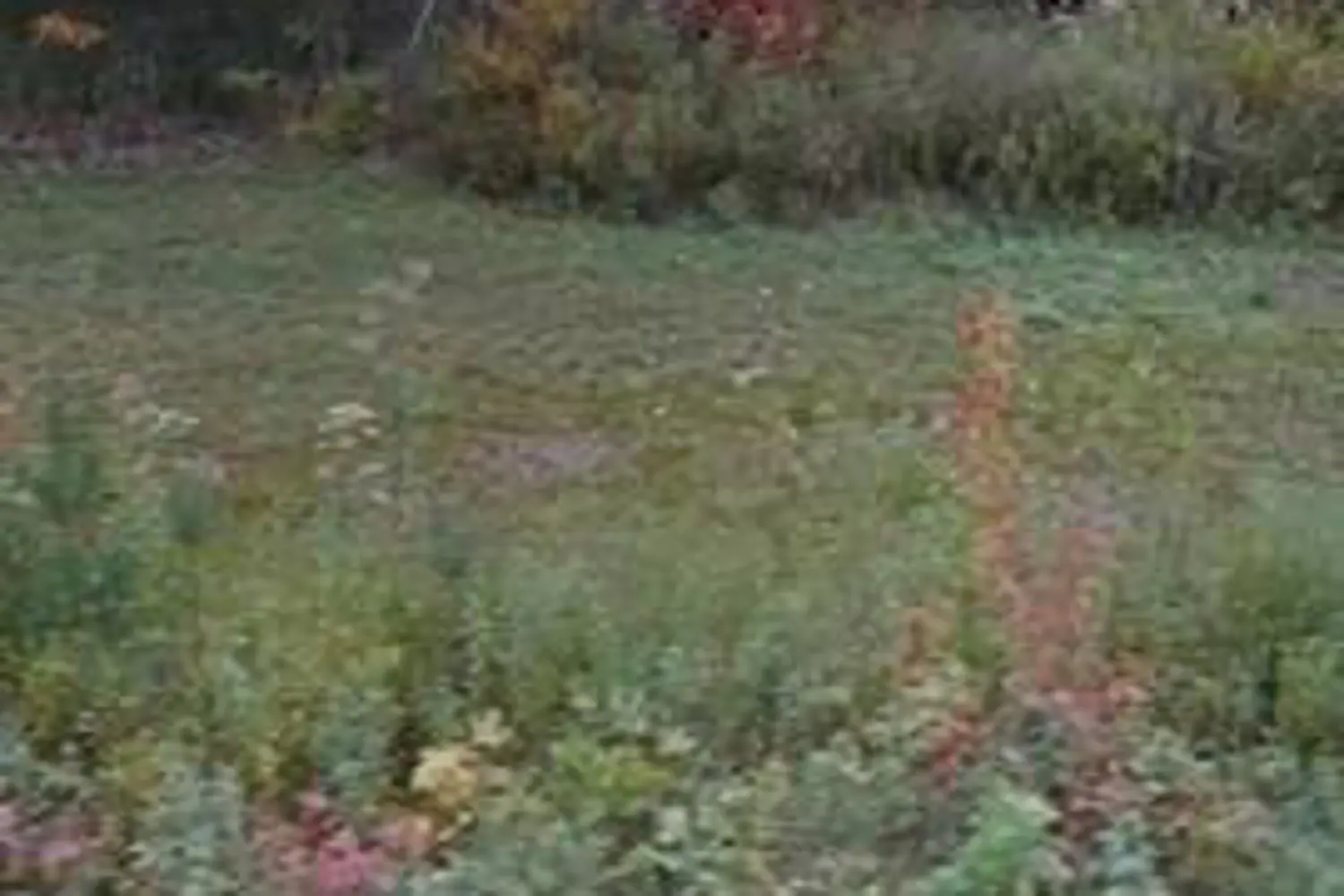 Additional image 4 of 2595 Etwell Road