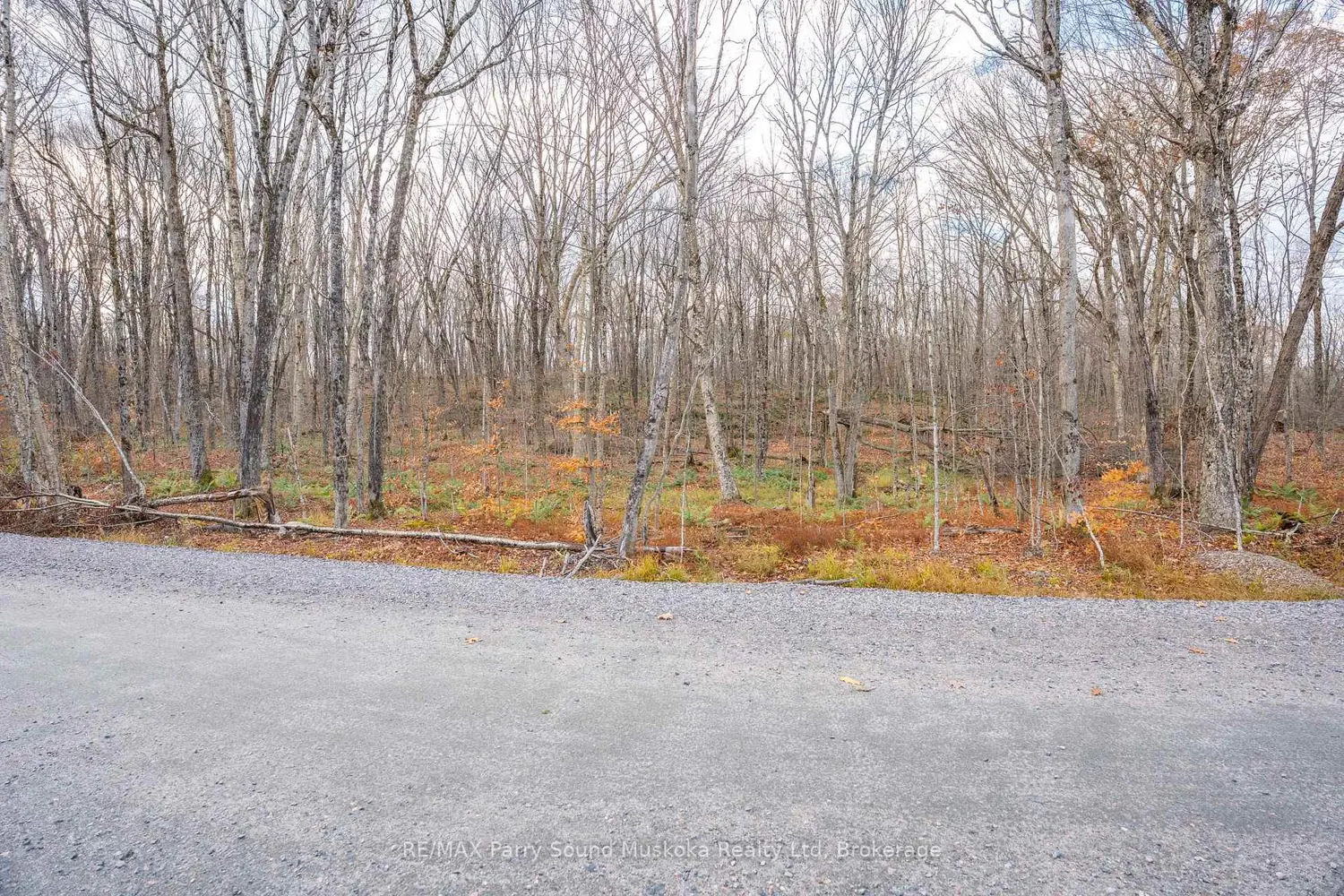 Additional image 14 of Part 7 Standing People Road