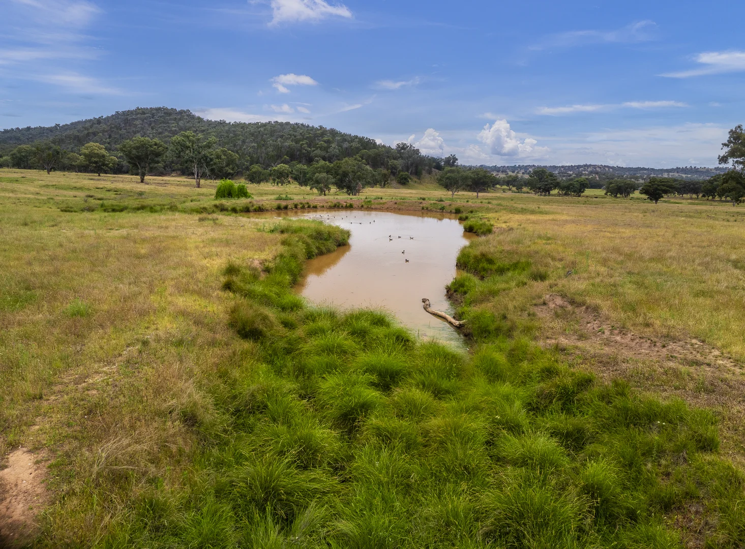 Additional image 6 of The Spring 561 Mountain Valley Road, Neurea NSW 2820
