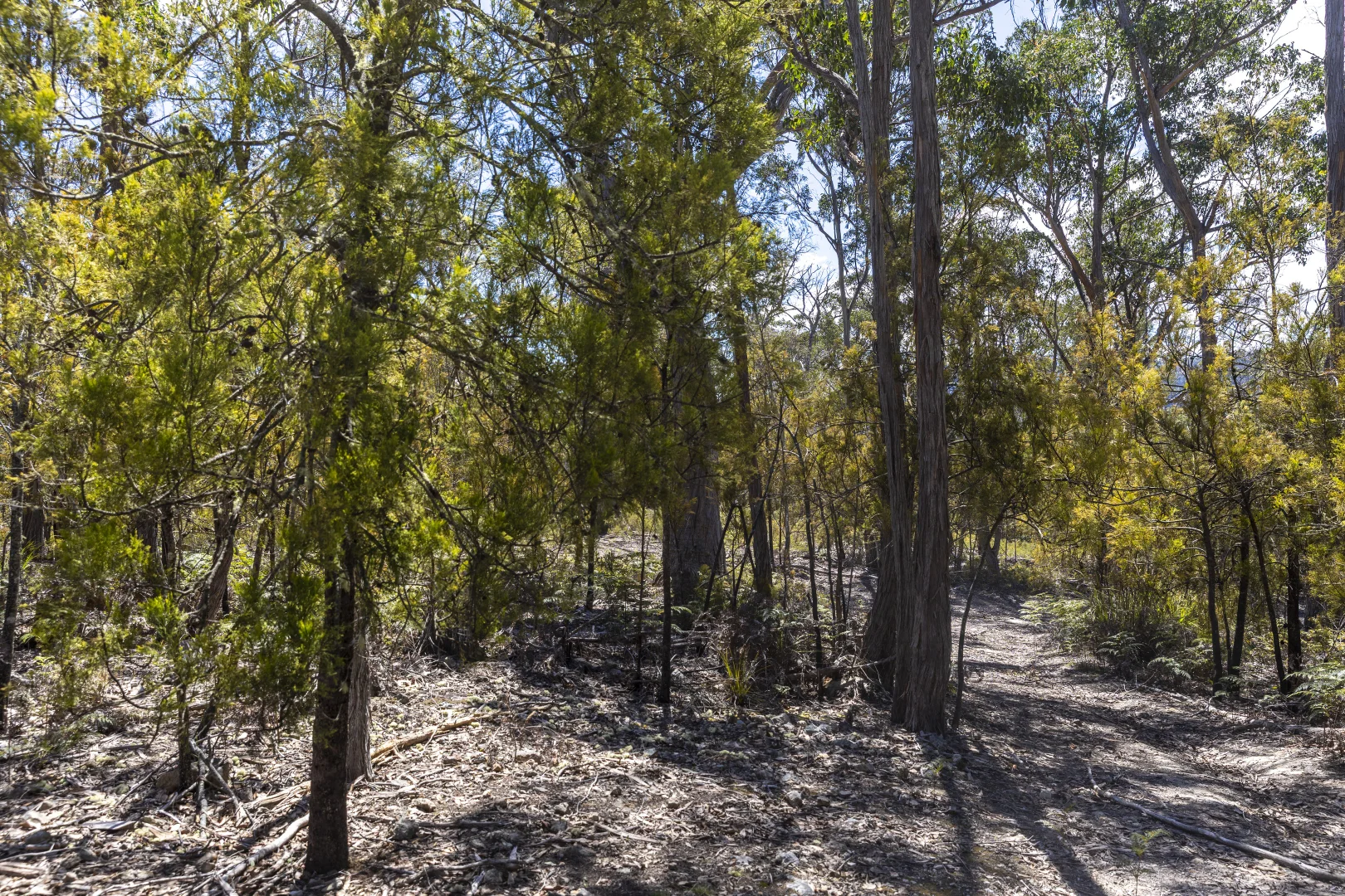 Additional image 14 of Lot 5 Harveys Hill Close, Deep Bay TAS 7112