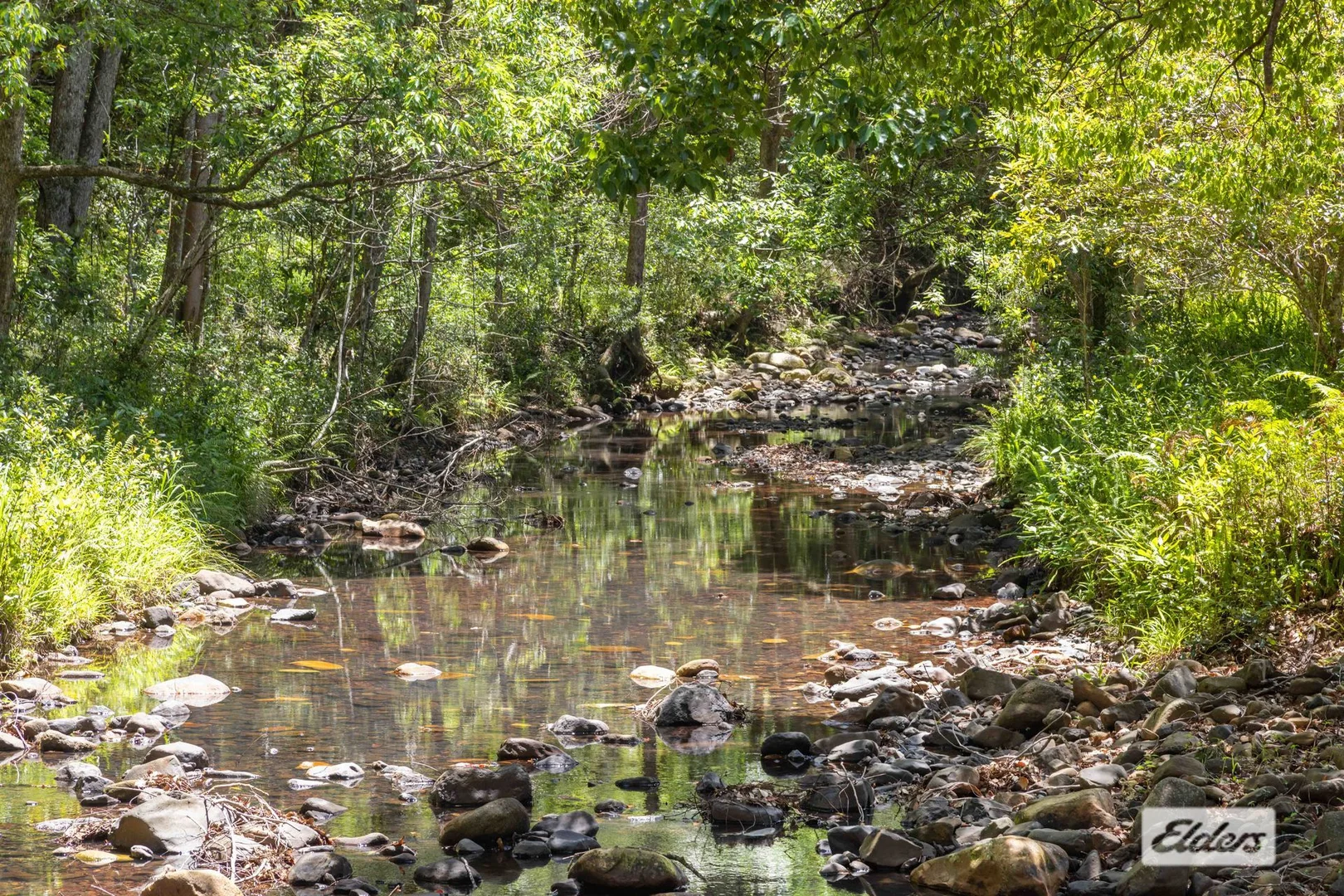 Additional image 21 of 1984 Numinbah Road, Numinbah NSW 2484