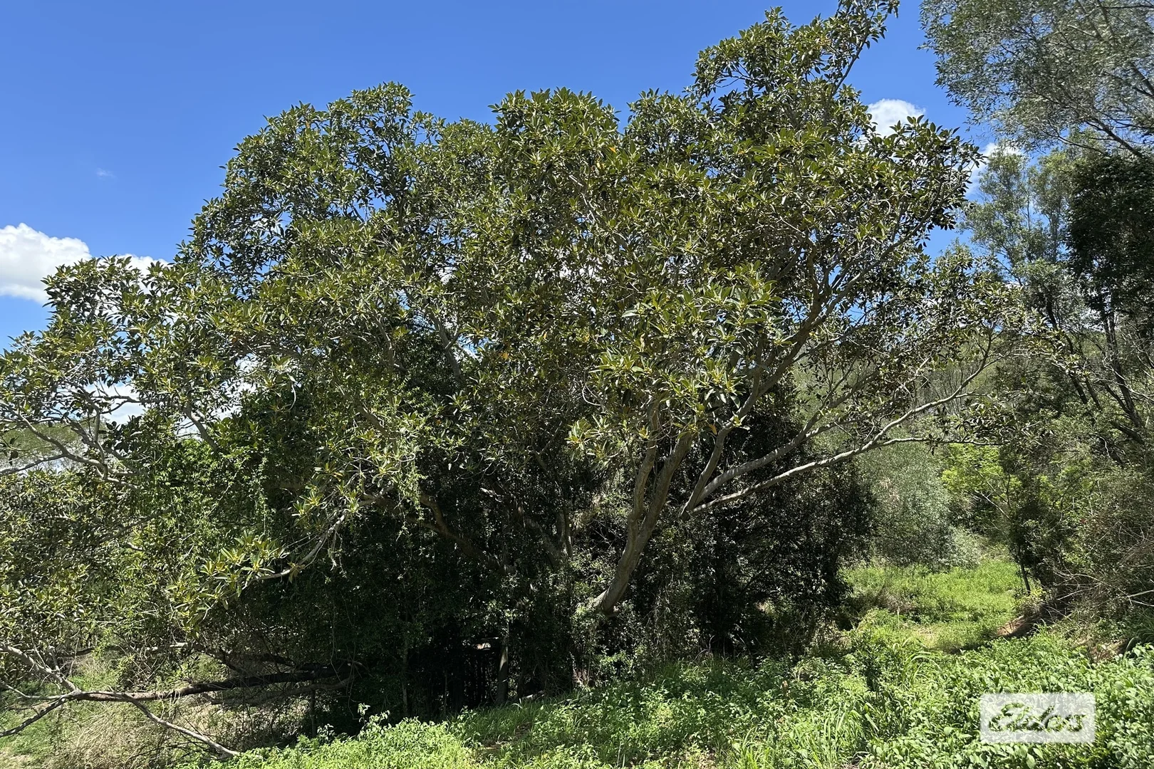 Additional image 25 of 146 Axelsen Drive, Villeneuve QLD 4514