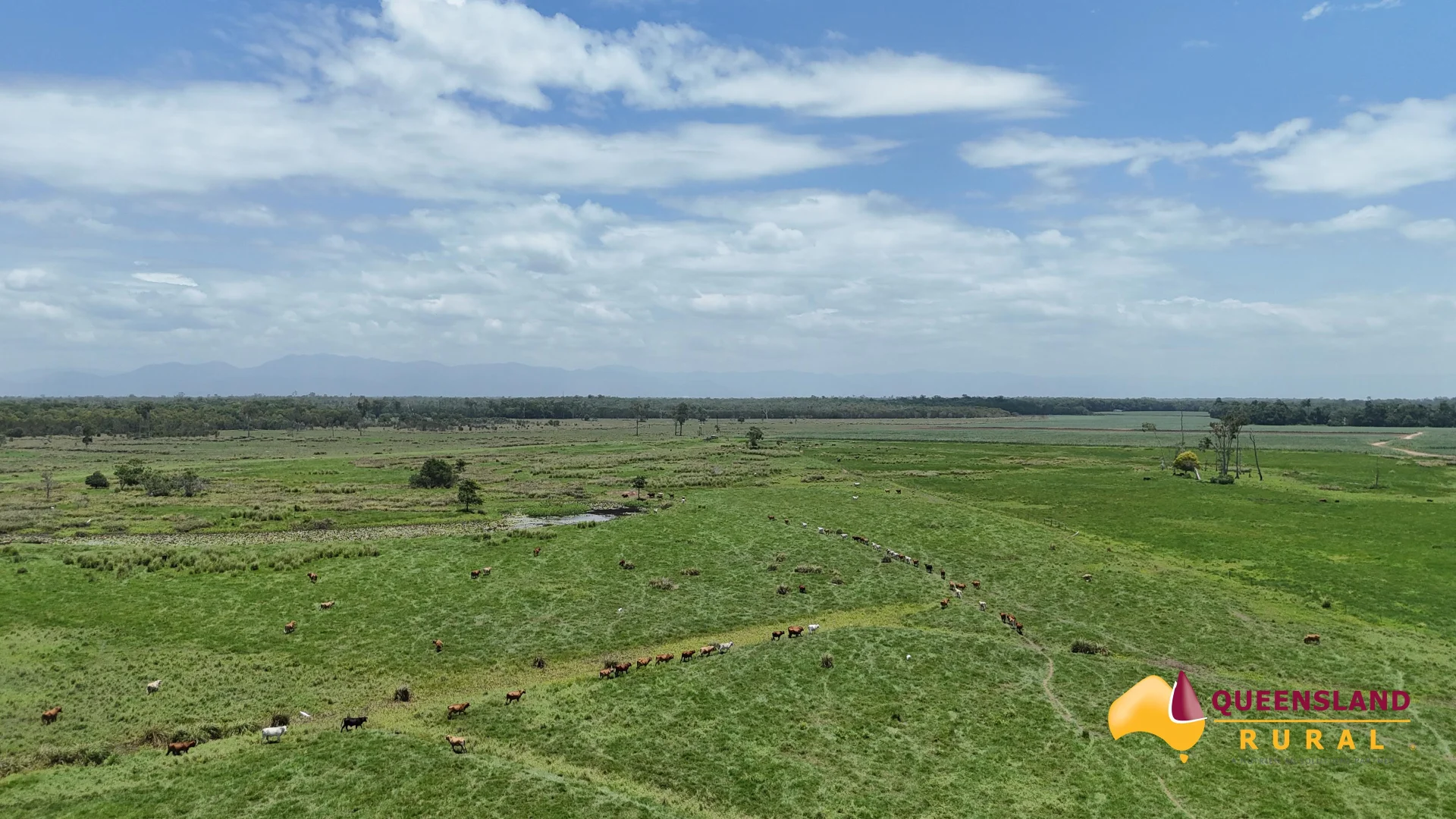 Additional image 11 of Euramo QLD 4854