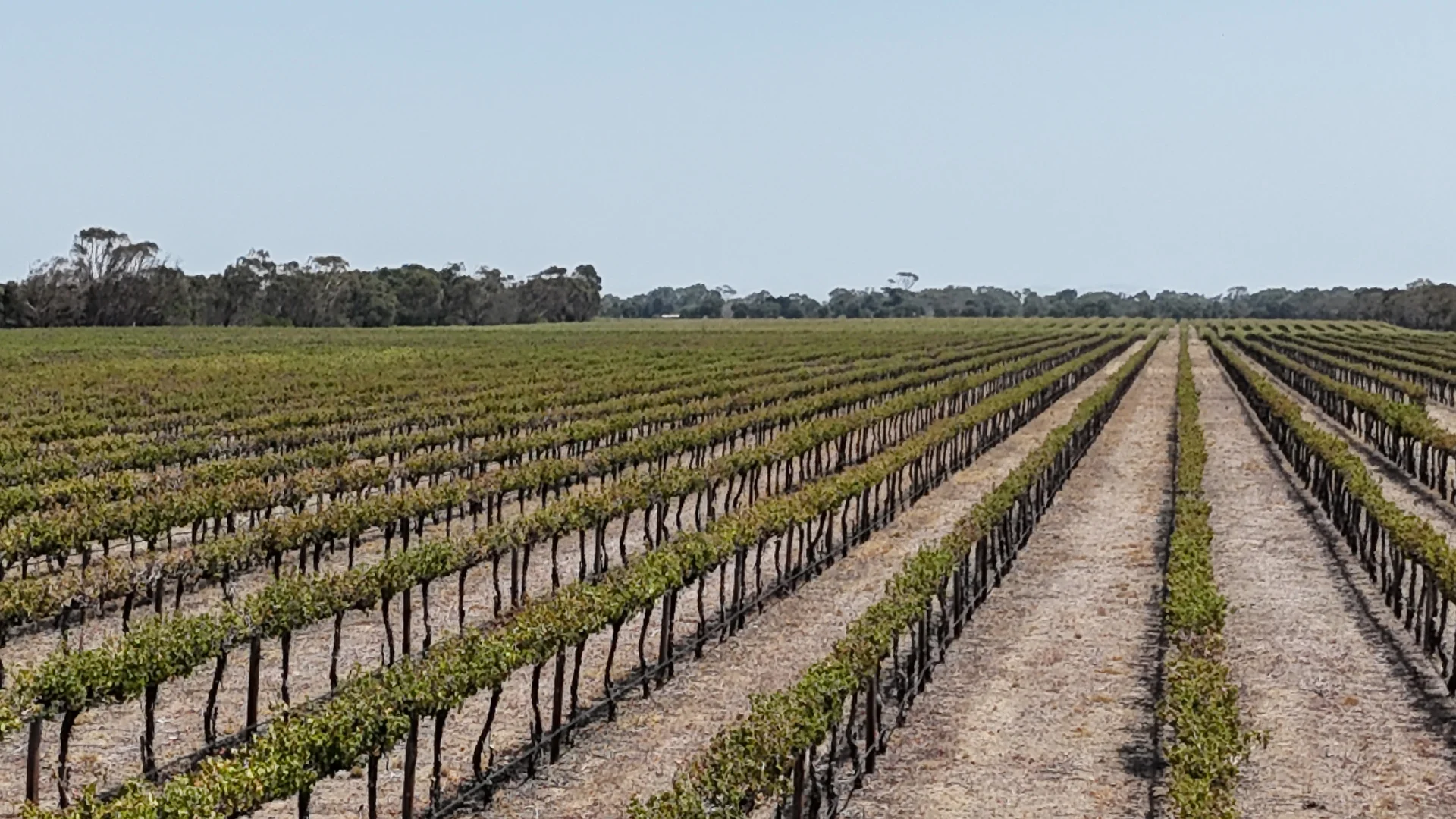 Additional image 3 of 359 Chapel Road, Lake Plains SA 5255