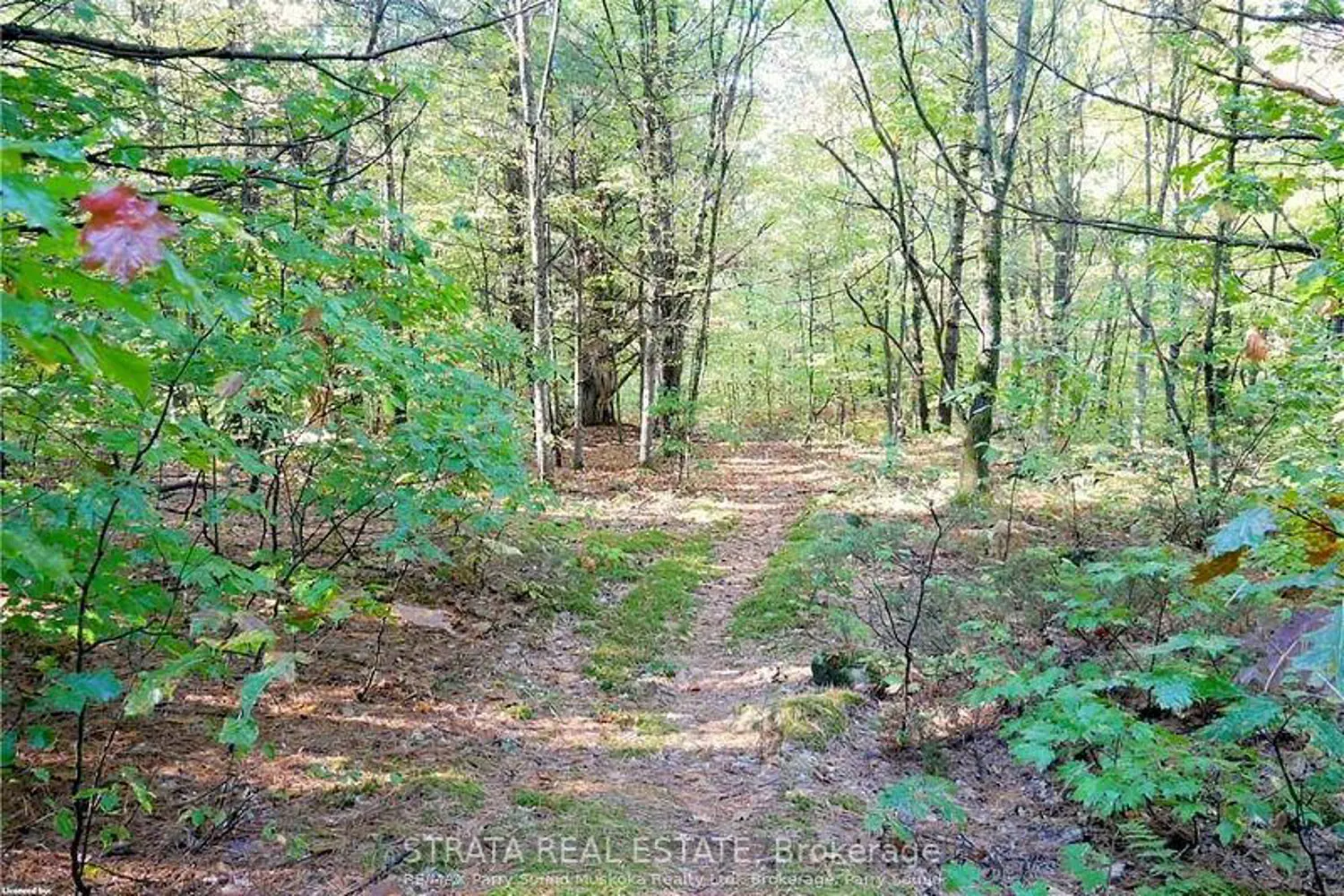 Additional image 2 of 0 518