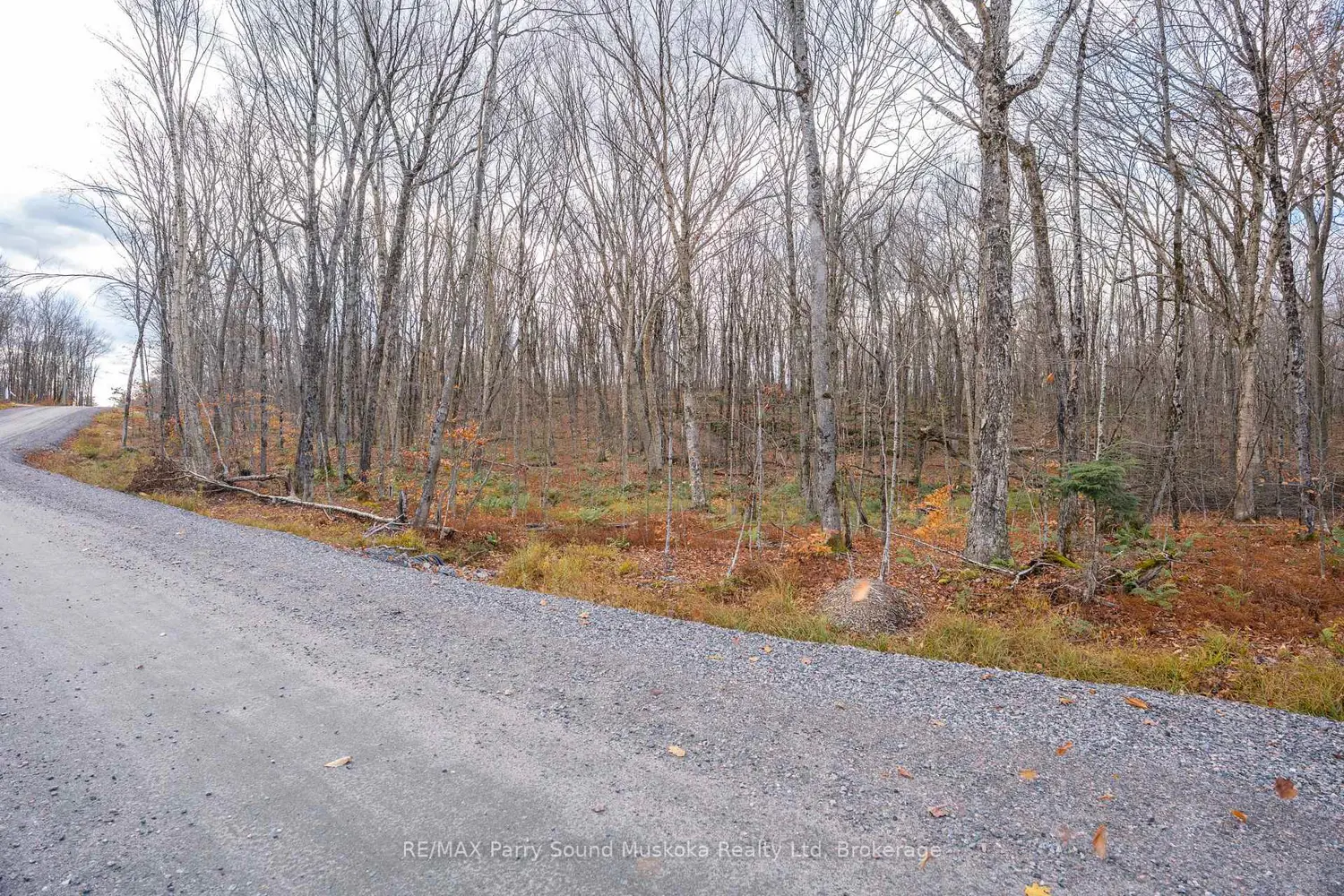 Additional image 11 of Part 7 Standing People Road