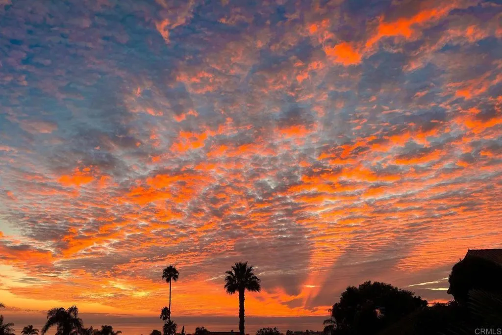 Additional image 84 of 1839 Freda Lane, Cardiff By The Sea, CA 92007