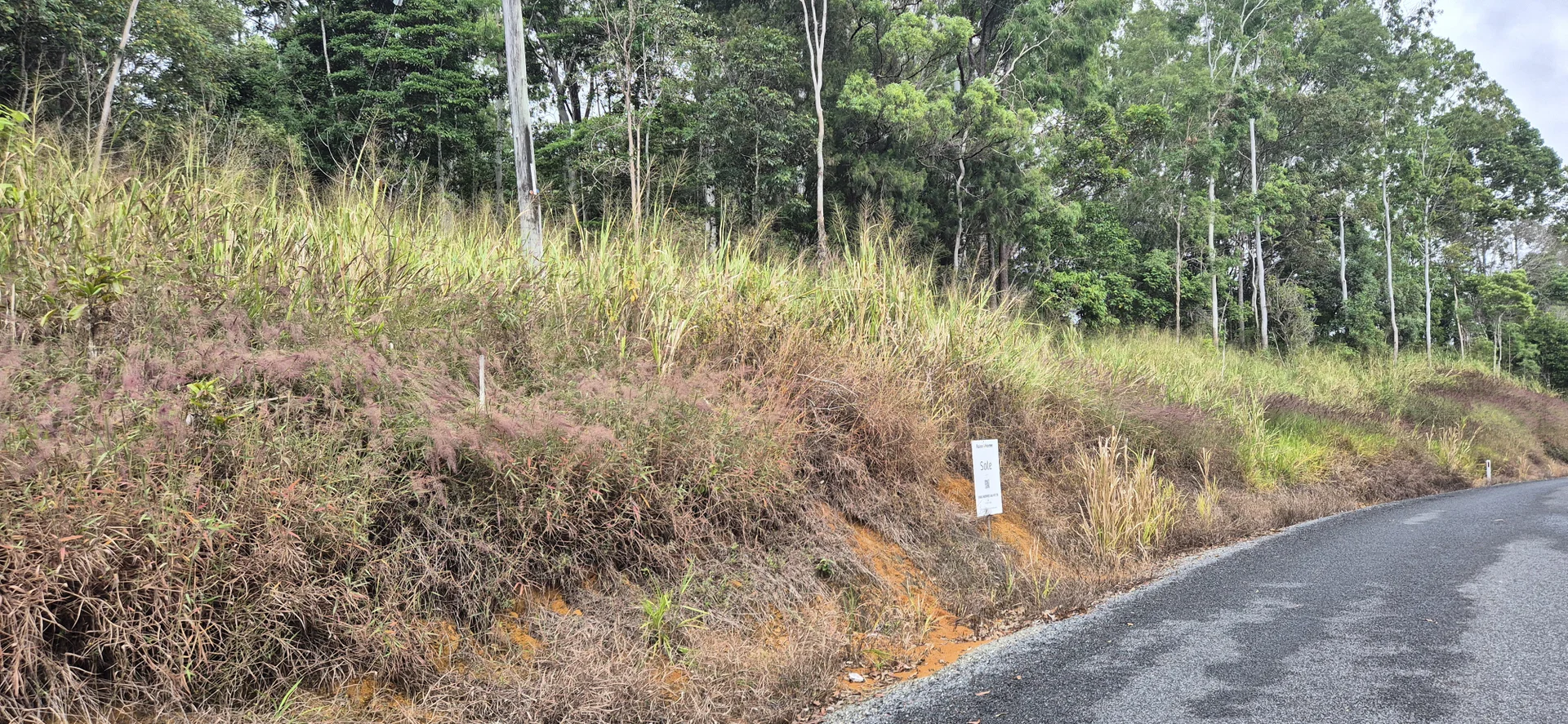 Additional image 3 of 937 Euluma Creek Road, Julatten QLD 4871