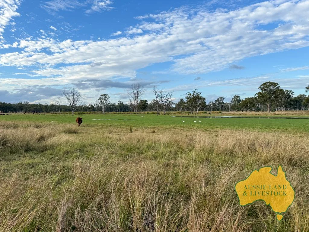 Additional image 41 of 8 SCREENING PLANT ROAD, Cynthia QLD 4627