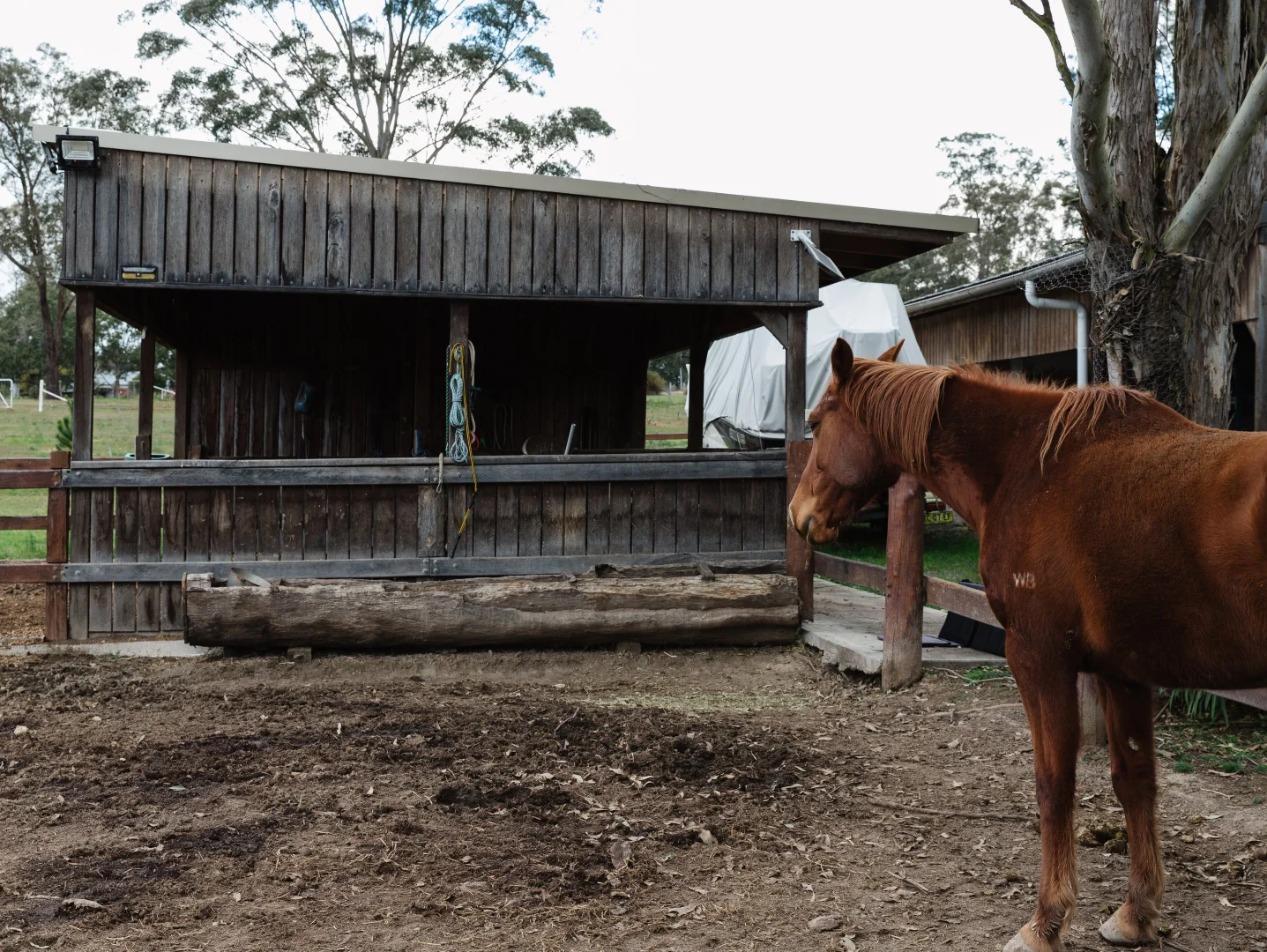 Additional image 30 of 4452 The Bucketts Way, Gloucester NSW 2422