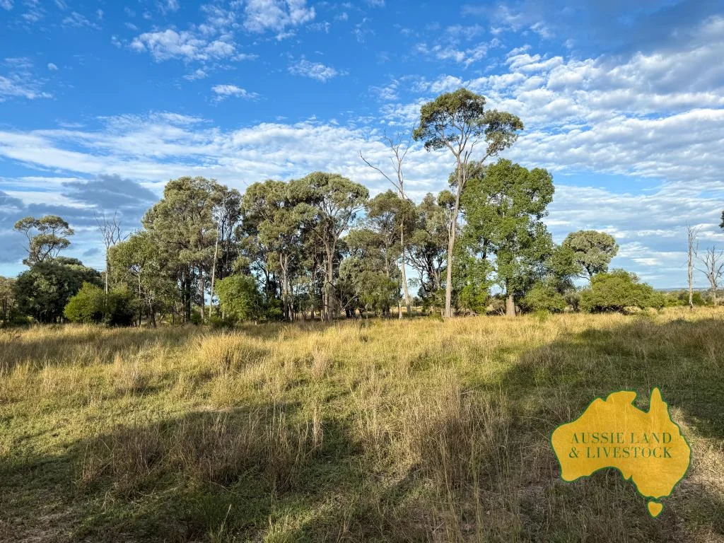 Additional image 37 of 8 SCREENING PLANT ROAD, Cynthia QLD 4627