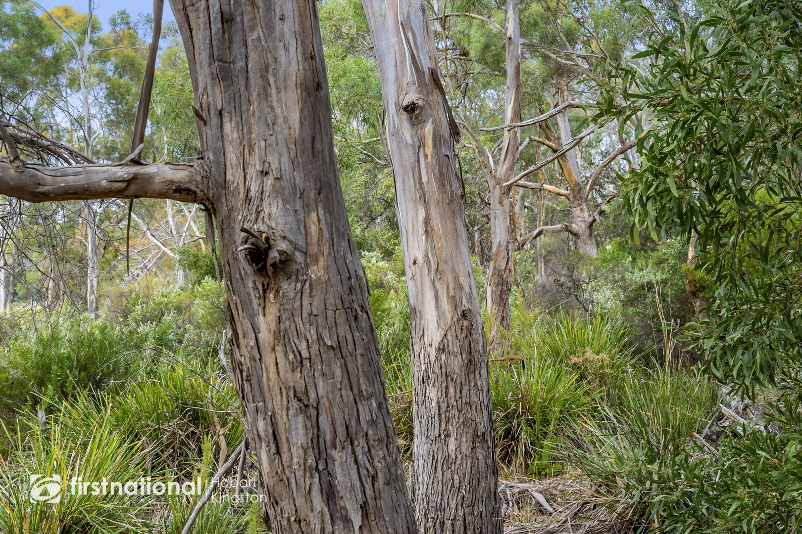 Additional image 21 of Bruny Island Main Road (Off Blyth Parade), Great Bay TAS 7150