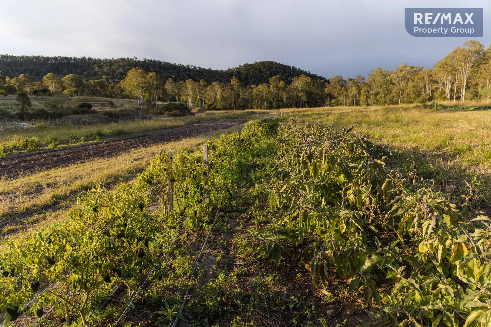 Additional image 18 of 2 Reilly Road, Woolooga QLD 4570