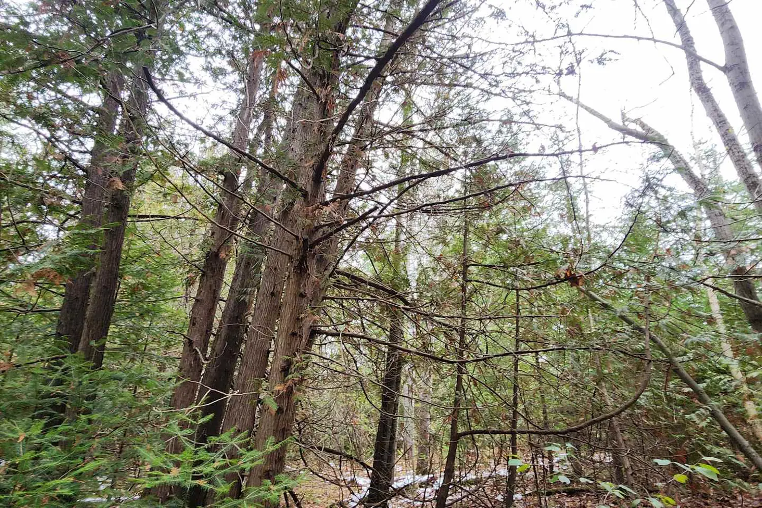 Additional image 2 of 10189 Concession 3 Road