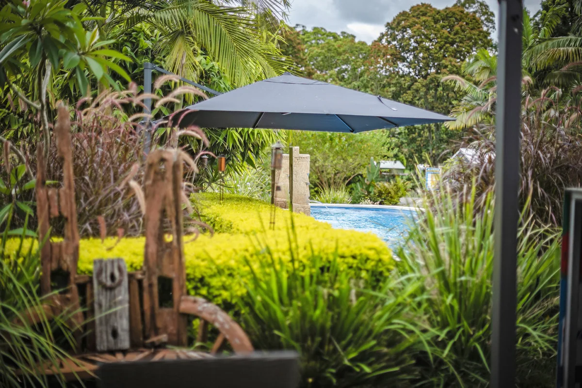 Additional image 22 of 88 Gleniffer Road, Bellingen NSW 2454