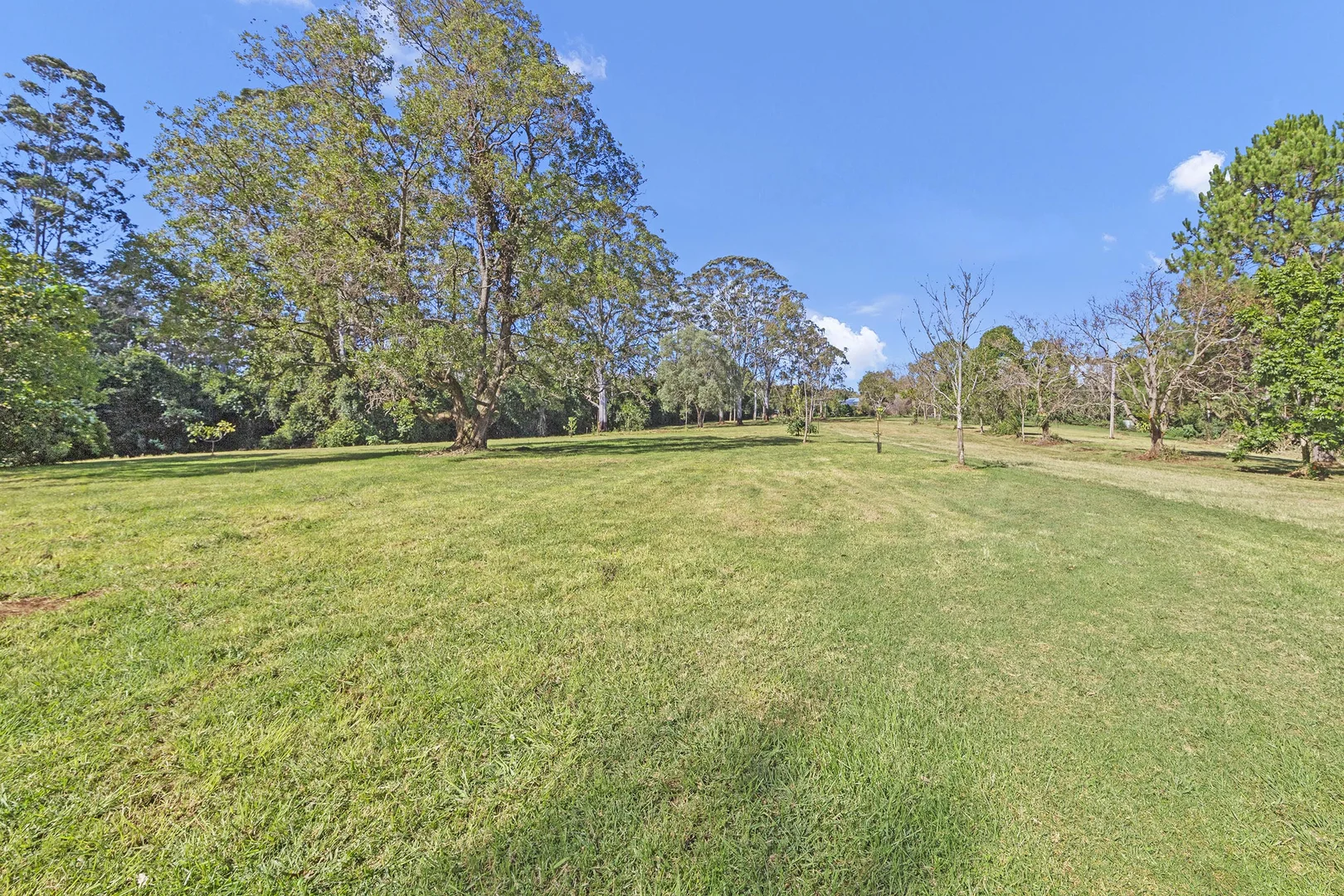 Additional image 7 of 28a Geissmann Street, Tamborine Mountain QLD 4272