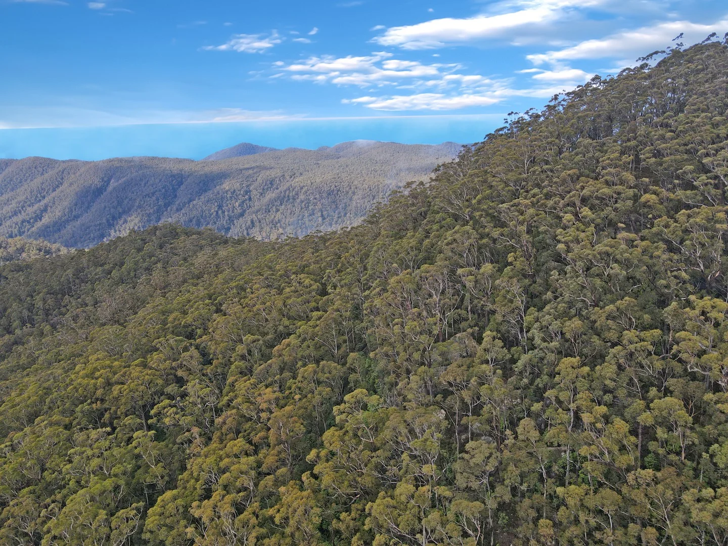 Additional image 4 of PID 6408103 Irish Town Road, St Marys TAS 7215