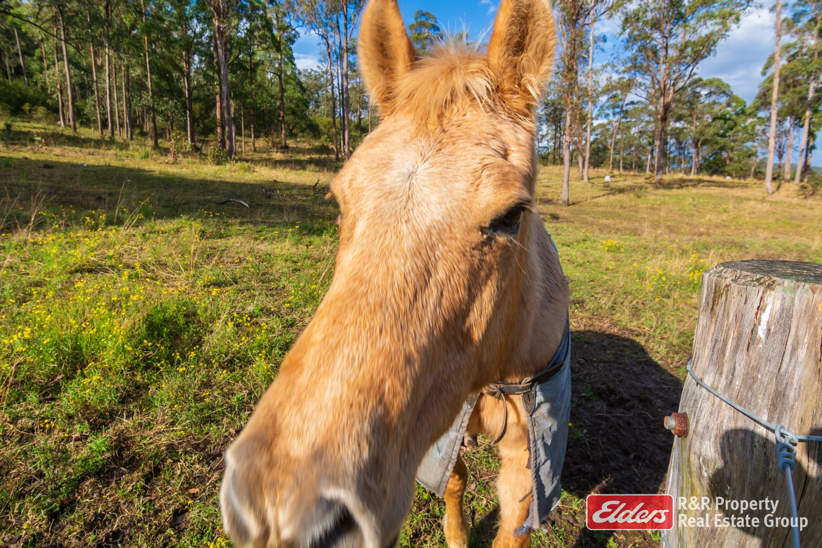 Additional image 20 of 4 Bede Street, Stroud NSW 2425